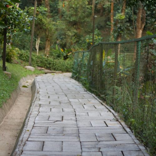 A peaceful stone pathway winding through a lush, green park with surrounding trees.